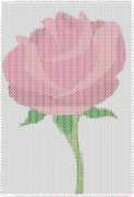 pattern Plants Roses