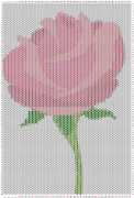 pattern Plants Roses