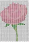 pattern Plants Roses