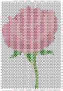 pattern Plants Roses