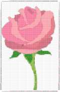 pattern Plants Roses