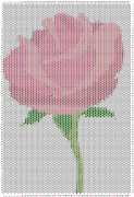 pattern Plants Roses
