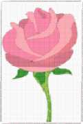 pattern Plants Roses
