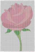 pattern Plants Roses