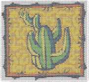 pattern Plants Cactuses