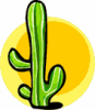 image  Plants Cactuses