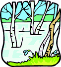 image Plants Trees
