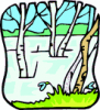 image  Plants 