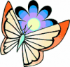 image  Animals Butterflies