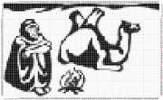 pattern Animals Camels