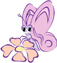 image Animals Butterflies