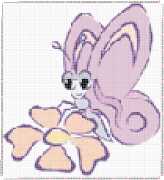 pattern Animals Butterflies