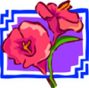 image  Plants Flowers