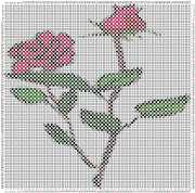 pattern Plants Roses