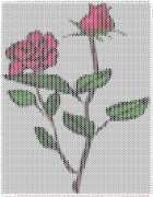 pattern Plants Roses
