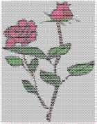 pattern Plants Roses