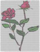 pattern Plants Roses