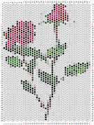 pattern Plants Roses