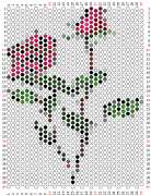 pattern Plants Roses