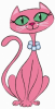 image  Animals Cats