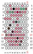 pattern Animals Cats