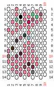 pattern Animals Cats
