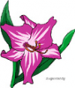 image  Plants 