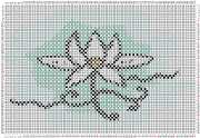 pattern Plants Flowers
