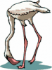 image  Animals 