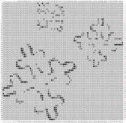 pattern Weather Winter