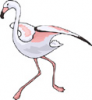 image  Animals 