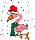 image Animals Flamingo Weather Winter