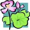 image  Plants Flowers