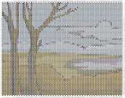 pattern Plants Trees