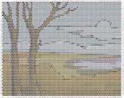 pattern Plants Trees