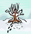 image Plants Trees