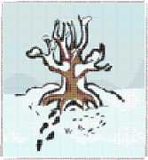 pattern Plants Trees