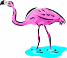 image Animals Flamingo