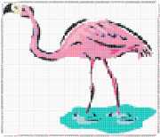 pattern Animals Flamingo