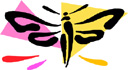 image Animals Butterflies