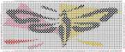 pattern Animals Butterflies