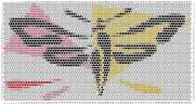 pattern Animals Butterflies