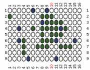 pattern Plants Trees