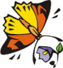 image  Animals Butterflies
