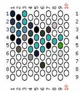 pattern Animals Butterflies
