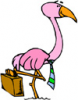 image  Animals Flamingo