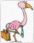 pattern Animals Flamingo