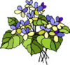 image  Plants 