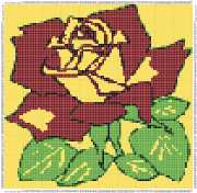 pattern Plants Roses