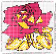 pattern Plants Roses